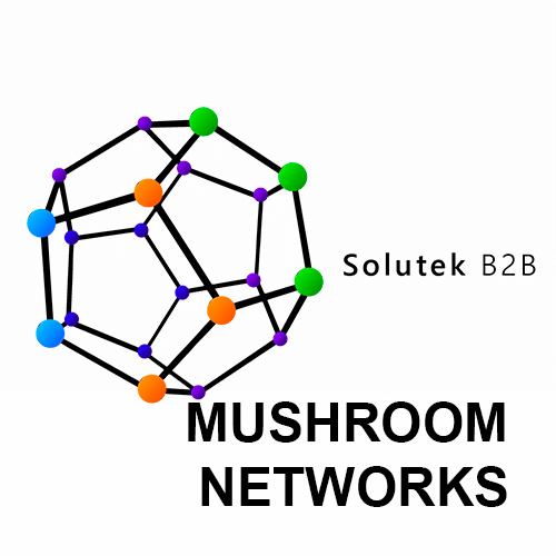 Montaje de firewalls Mushroom Networks