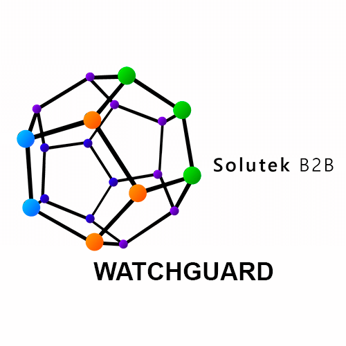Montaje de firewalls WatchGuard